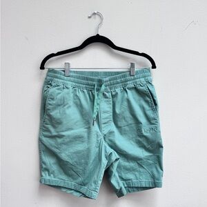 Hurley Seafoam Green Shorts